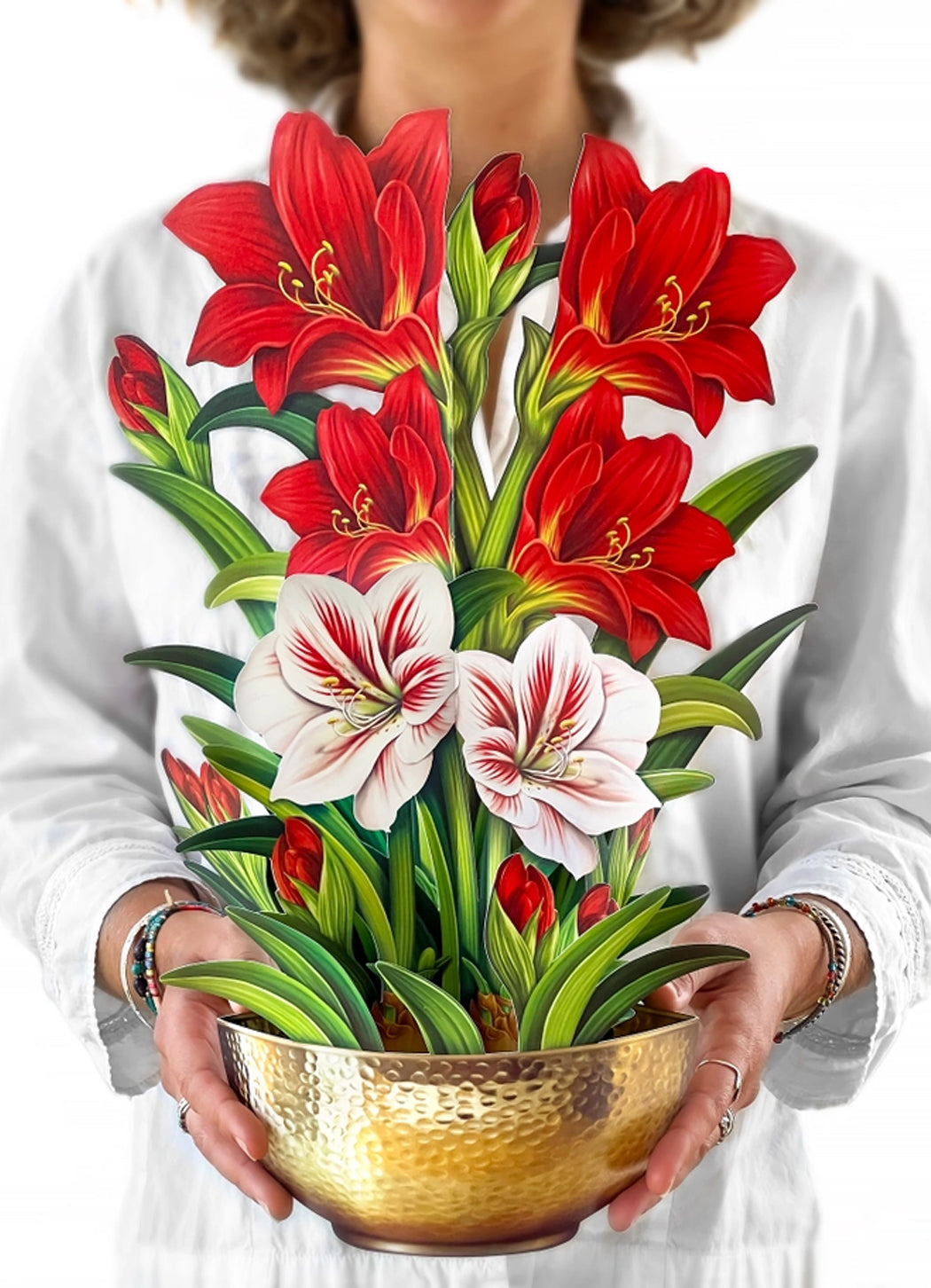 FreshCut Paper Scarlet Amaryllis Pop-up Greeting Cards – Details Direct