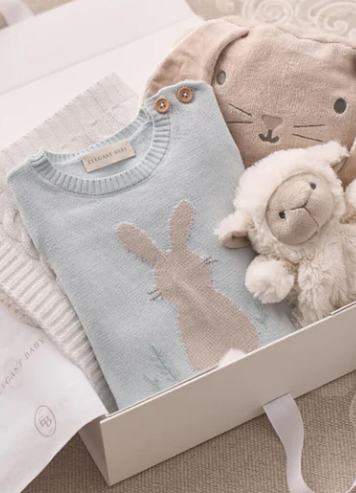 Elegant Baby Boys Bunny Knit Shortall Romper