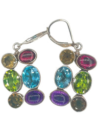 Echo of The Dreamer Multi Gemstone Earrings